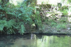 24.-Spring-Cottage-Weir-remains