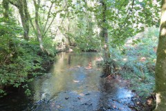 25.-Looking-upstream-from-Riverside-Footbridge