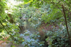 28.-Looking-downstream-from-Riverside-Footbridge