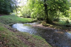 35.-Downstream-from-Riverside-Ford