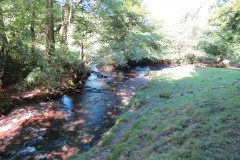 37.-Flowing-below-Maundown-Plantation