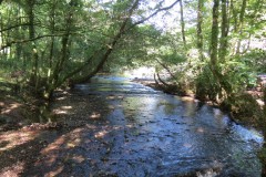 51.-Looking-downstream-from-Bulland-Ford-footbridge