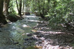 52.-Looking-downstream-to-Challick-footbridge