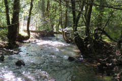53.-Looking-downstream-to-Challick-footbridge