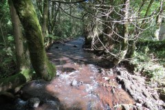 56.-Looking-upstream-from-Challick-footbridge