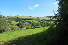 57.-Tone-Valley-from-Wadhams-Farm