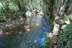 58.-Upstream-from-Yeo-Bridge