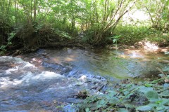 59.-Weir-upstream-from-Yeo-Bridge