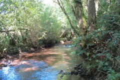 60.-Weir-upstream-from-Yeo-Bridge