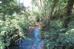 61.-Looking-upstream-from-Yeo-Bridge