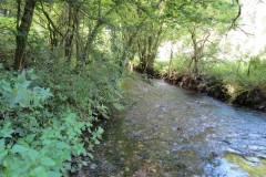 8.Downstream-from-Washbattle-Bridge