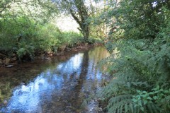 9.Downstream-from-Washbattle-Bridge