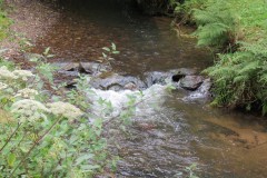 13.-Flowing-through-the-grounds-of-Manor-Mill
