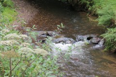 14.-Flowing-through-the-grounds-of-Manor-Mill