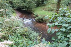 15.-Flowing-through-the-grounds-of-Manor-Mill