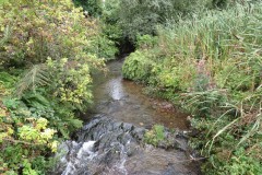 19.-Looking-upstream-from-Manor-Mill-Footbridge