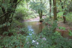 2.-Upstream-from-Manor-Mill