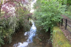 21.-Looking-upstream-from-Manor-Mill-ROW-Footbridge