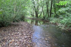3.-Upstream-from-Manor-Mill