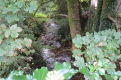 30.-Tributary-stream-joins-from-the-north