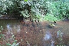 A11.-Downstream-from-Yeo-Bridge
