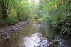 A13.-Downstream-from-Yeo-Bridge
