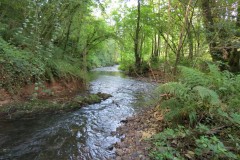 A14.-Downstream-from-Yeo-Bridge