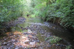 A15.-Downstream-from-Yeo-Bridge