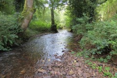 A16.-Downstream-from-Yeo-Bridge