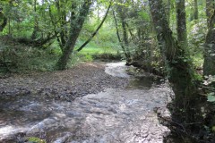 A2.-Downstream-from-Yeo-Bridge