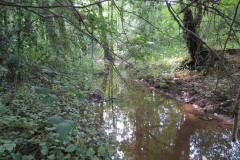 A3.-Downstream-from-Yeo-Bridge