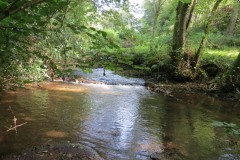 A4.-Downstream-from-Yeo-Bridge