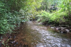 1.-Downstream-from-Waterrow-Bridge
