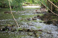 11.-Downstream-from-Waterrow-Bridge