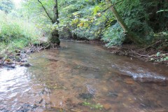 12.-Downstream-from-Waterrow-Bridge