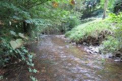 2.-Downstream-from-Waterrow-Bridge
