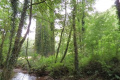 37.-Tone-Viaduct