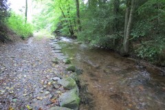 4.-Downstream-from-Waterrow-Bridge