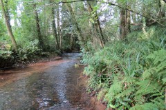 40.-Upstream-from-Tone-Viaduct