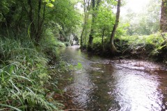 41.-Downstream-from-Tone-Viaduct