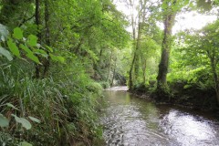 42.-Downstream-from-Tone-Viaduct