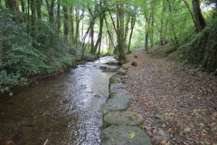 5.-Downstream-from-Waterrow-Bridge