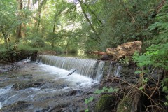 52.-Weir-upstream-from-Pare-Mill