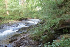 53.-Weir-upstream-from-Pare-Mill