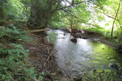 55.-Downstream-from-weir-upstream-from-Pare-Mill