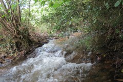 56.-Upstream-from-Pare-Mill