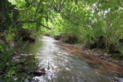 57.-Upstream-from-Pare-Mill