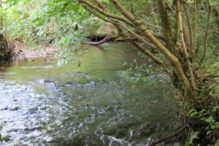 58.-Upstream-from-Pare-Mill