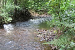 59.-Upstream-from-Pare-Mill