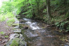 6.-Downstream-from-Waterrow-Bridge